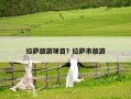 拉薩旅游項目？拉薩市旅游