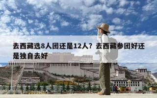 去西藏選8人團還是12人？去西藏參團好還是獨自去好