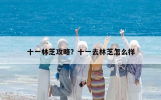 十一林芝攻略？十一去林芝怎么樣