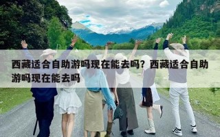 西藏適合自助游嗎現(xiàn)在能去嗎?西藏適合自助游嗎現(xiàn)在能去嗎 西藏適合自助游嗎現(xiàn)在能去嗎?西藏適合自助游嗎現(xiàn)在能去嗎