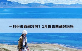 一月份去西藏冷嗎？1月份去西藏好玩嗎