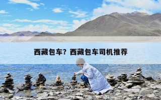 西藏包車？西藏包車司機推薦