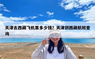 天津去西藏飛機(jī)票多少錢？天津到西藏航班查詢