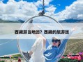 西藏游當地團？西藏的旅游團