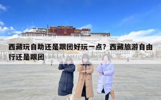 西藏玩自助還是跟團(tuán)好玩一點(diǎn)？西藏旅游自由行還是跟團(tuán)