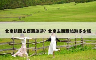 北京組團(tuán)去西藏旅游？北京去西藏旅游多少錢