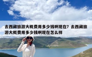 去西藏旅游大概費用多少錢啊現在？去西藏旅游大概費用多少錢啊現在怎么樣