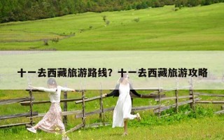 十一去西藏旅游路線？十一去西藏旅游攻略