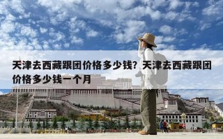 天津去西藏跟團價格多少錢？天津去西藏跟團價格多少錢一個月
