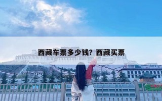 西藏車(chē)票多少錢(qián)？西藏買(mǎi)票