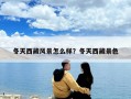 冬天西藏風景怎么樣？冬天西藏景色