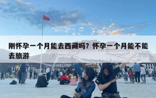 剛懷孕一個月能去西藏嗎？懷孕一個月能不能去旅游