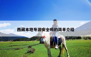 西藏本地導游安全嗎的簡單介紹