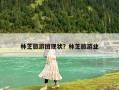 林芝旅游團現狀？林芝旅游業