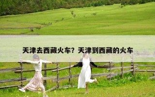 天津去西藏火車(chē)?天津到西藏的火車(chē) 天津去西藏火車(chē)?天津到西藏的火車(chē)