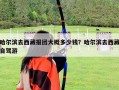 哈爾濱去西藏報(bào)團(tuán)大概多少錢？哈爾濱去西藏自駕游