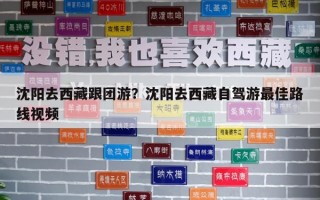 沈陽去西藏跟團游？沈陽去西藏自駕游最佳路線視頻