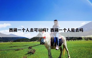 西藏一個人去可以嗎？西藏一個人能去嗎