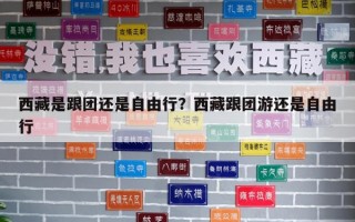 西藏是跟團還是自由行？西藏跟團游還是自由行