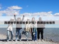 西藏快節(jié)奏旅拍多少錢？西藏旅拍推薦