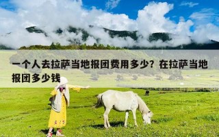 一個人去拉薩當地報團費用多少？在拉薩當地報團多少錢