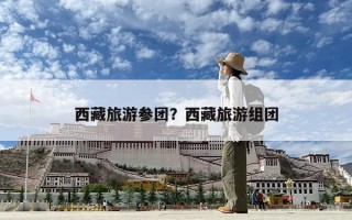 西藏旅游參團(tuán)？西藏旅游組團(tuán)