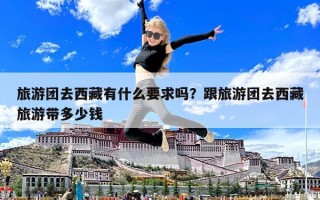 旅游團去西藏有什么要求嗎？跟旅游團去西藏旅游帶多少錢