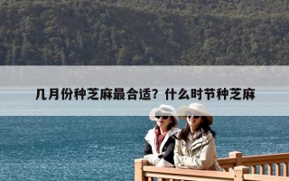 幾月份種芝麻最合適？什么時節種芝麻