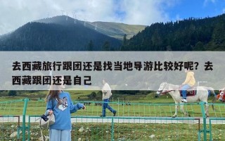 去西藏旅行跟團還是找當(dāng)?shù)貙?dǎo)游比較好呢？去西藏跟團還是自己