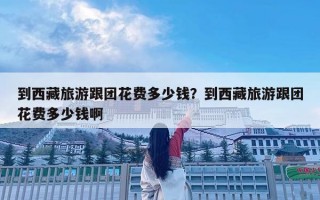 到西藏旅游跟團(tuán)花費(fèi)多少錢(qián)？到西藏旅游跟團(tuán)花費(fèi)多少錢(qián)啊