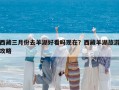 西藏三月份去羊湖好看嗎現在？西藏羊湖旅游攻略