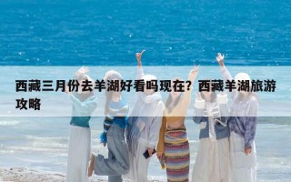西藏三月份去羊湖好看嗎現在？西藏羊湖旅游攻略