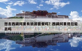 想去西藏阿里有旅游套餐嗎？西藏阿里現在能去嗎