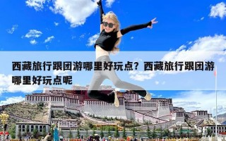 西藏旅行跟團游哪里好玩點？西藏旅行跟團游哪里好玩點呢