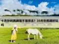 十月份的西藏值不值得去？10月份西藏好玩嗎