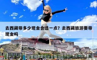 去西藏帶多少現金合適一點？去西藏旅游要帶現金嗎