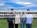 西藏跟團好還是一個人好一點？去西藏旅游跟團走還是自己去好?