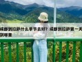 成都到拉薩什么季節(jié)去好？成都到拉薩第一天到哪里