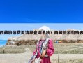 西藏旅游費用清單查詢系統？西藏旅游價格表