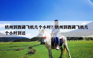 杭州到西藏飛機(jī)幾個小時？杭州到西藏飛機(jī)幾個小時到達(dá)