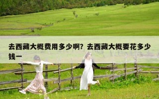 去西藏大概費用多少啊？去西藏大概要花多少錢一