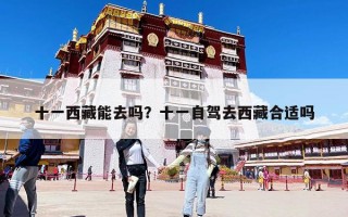 十一西藏能去嗎？十一自駕去西藏合適嗎