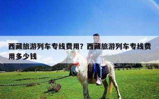 西藏旅游列車專線費用？西藏旅游列車專線費用多少錢