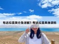 布達拉宮簡介及詳解？布達拉宮具體資料