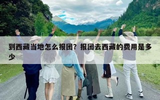 到西藏當?shù)卦趺磮髨F？報團去西藏的費用是多少