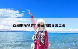 西藏地接導游？西藏地接導游工資