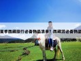夏季西藏旅行必備物品清單？西藏游必備物品