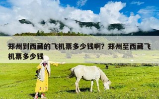鄭州到西藏的飛機票多少錢?。苦嵵葜廖鞑仫w機票多少錢