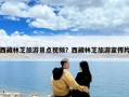 西藏林芝旅游景點視頻？西藏林芝旅游宣傳片