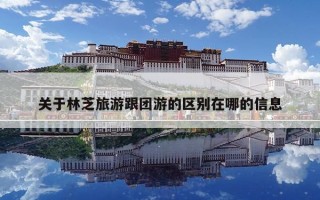 關于林芝旅游跟團游的區別在哪的信息